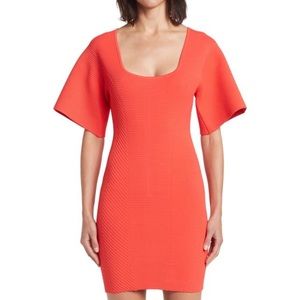 Herve Leger Bodycon Mini